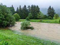 Überschwemmter Uferbereich mit Büschen im Hochwasser